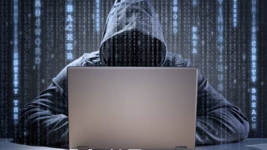 楚雄小程序定制开发：.NET的利刃与暗礁